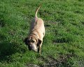 Maerz-April 2009064